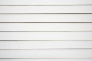 Are Professional Siding Cleaning Services Necessary?