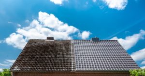 Why Professional Roof Cleaning is Important