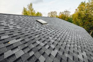 When Should You Hire Roof Cleaning Services?
