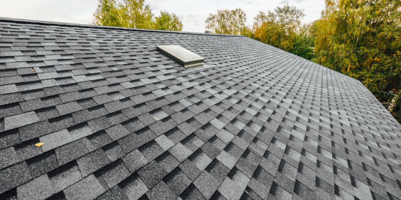 When Should You Hire Roof Cleaning Services?