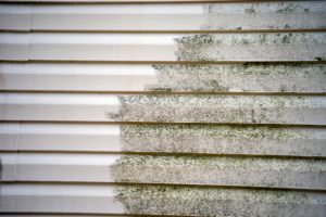 How Siding Cleaning Protects Your Home